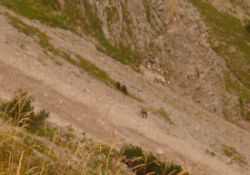 2013-09-07_3Falkenh_Mahnkopf (027)b.JPG